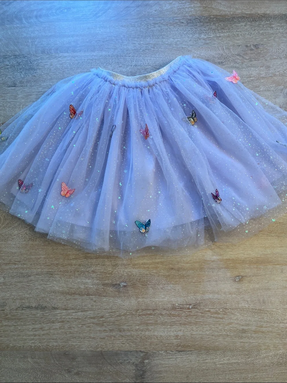 Lola and the boys size 10 butterfly shimmer skirt EUC